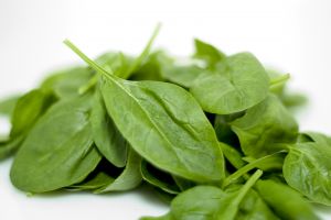 picture of spinach