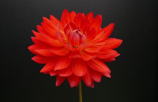 Hope
