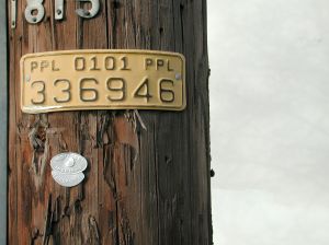 telephone pole_marker