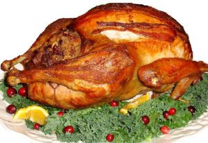 Picture of a Christmas Turkey