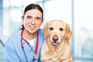 veterinarian