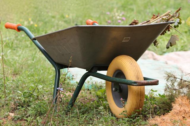 wheelbarrow garden