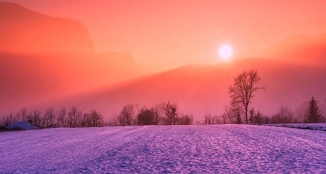 winter field