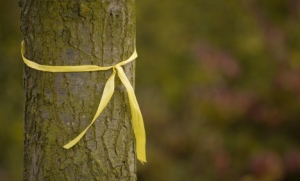 yellow ribbon