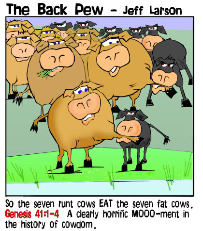 7 cows