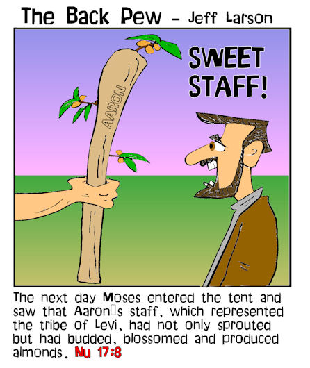 Aaron's Staff Budding