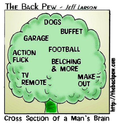 brainofman
