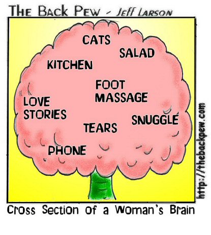 brainofwoman