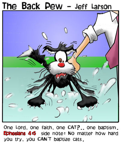 Cat Baptism Bible Cartoons