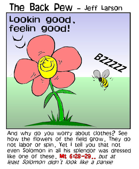 Consider the flowers 