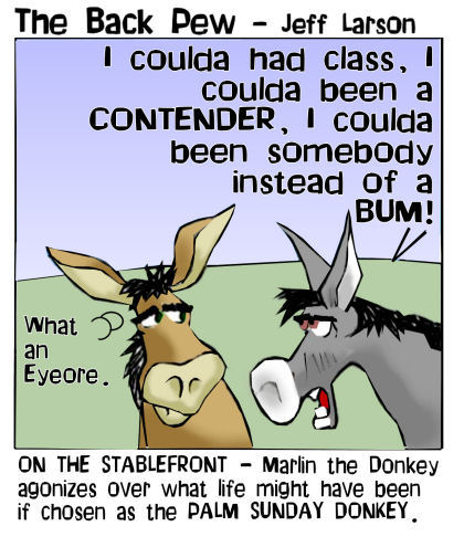Contender - Donkey