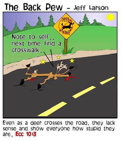 deer crossing