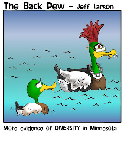 duckdiversity