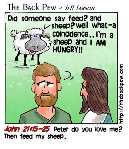 feedmysheep