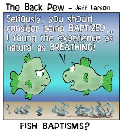 Fish Baptisms
