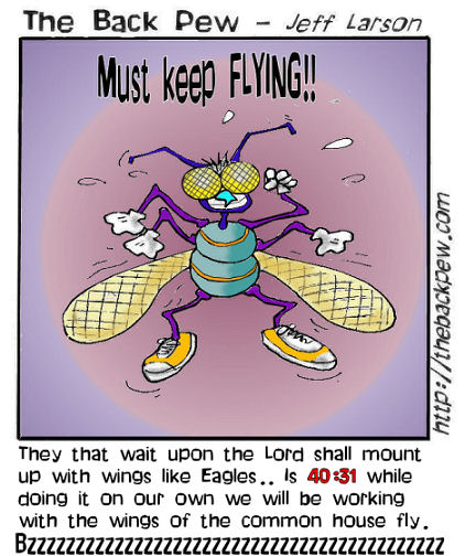 Fly Wings - not Eagle wings