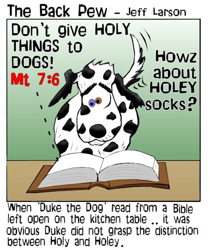 Holy Dog