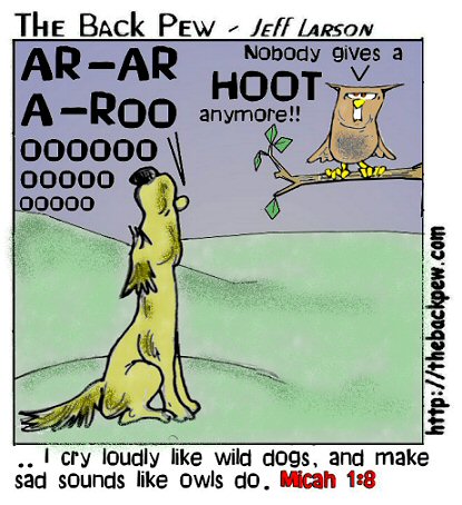 hootandhowl