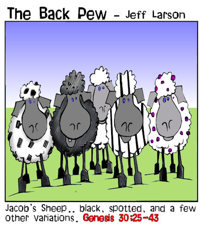 Jacobs's Sheep are blessed