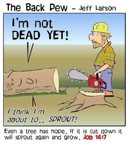 job treecutdown