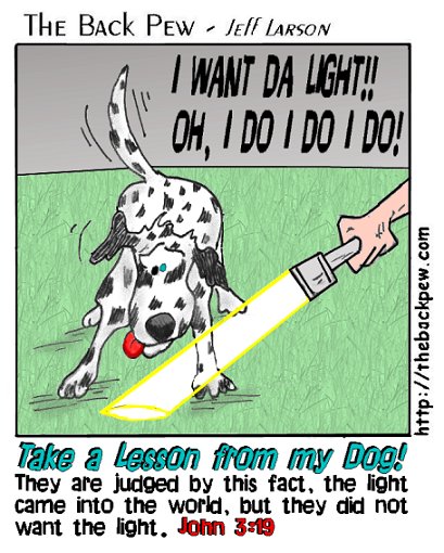 light and dolly