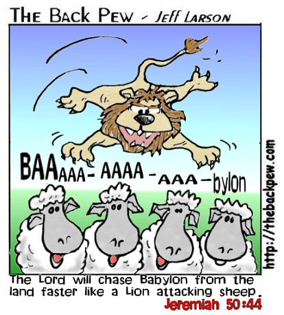 lionattackssheep