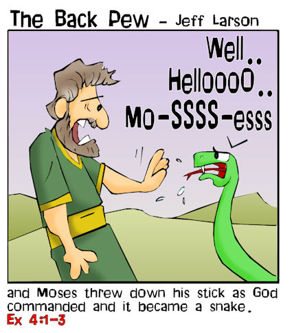 Moses snake stick