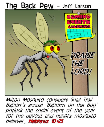 Mosquito Baptism