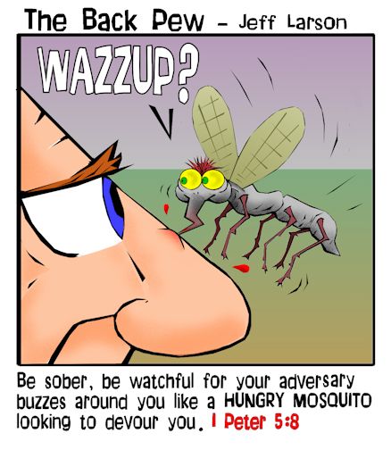 Mosquito on the nose