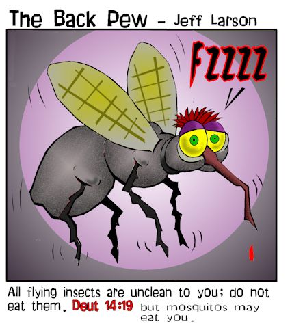 Mosquito from Deuteronomy