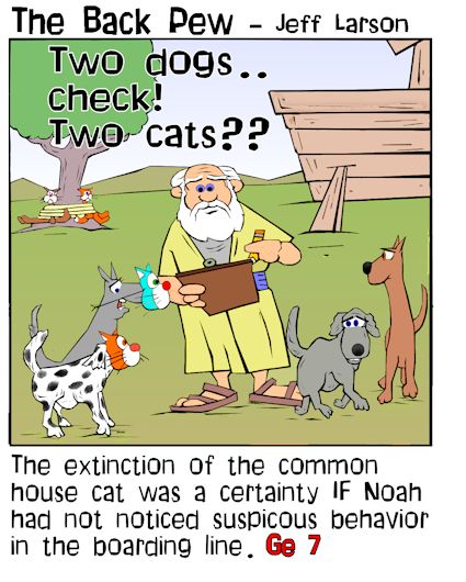 Noah's Dogs