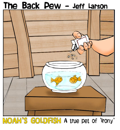 Noah's Goldfish 