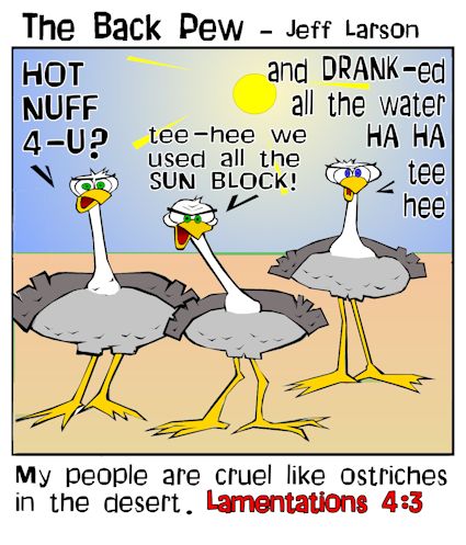 Ostriches