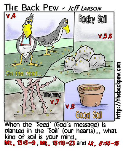 Seeds Parable