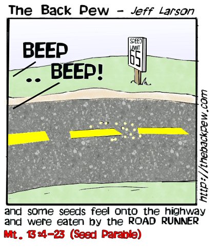 Seeds sown on Highway