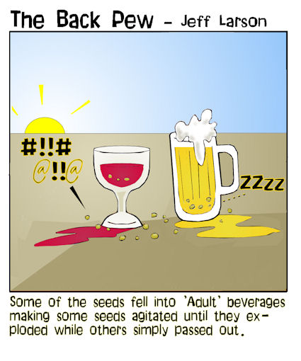 seedy drinks