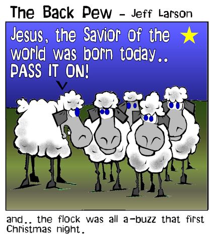 sheep christmas night