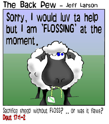 Sheep Floss