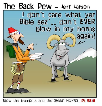 Sheep Horns