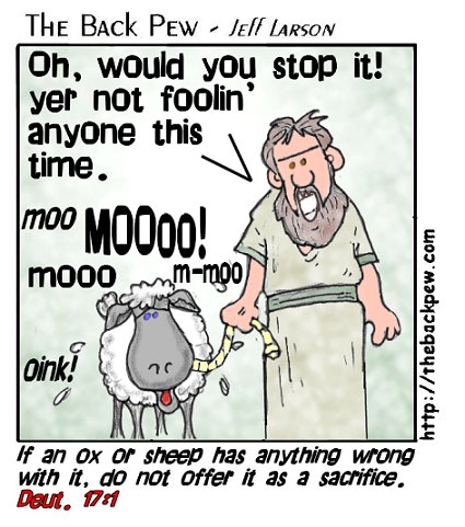 sheepmooo