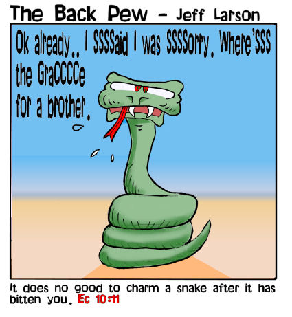 Snake Bite wisdom