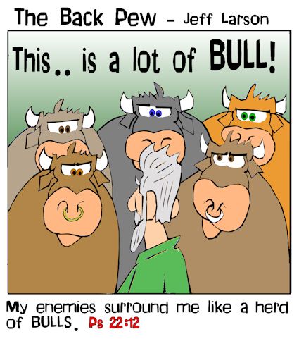 Surrounded by Bulls
