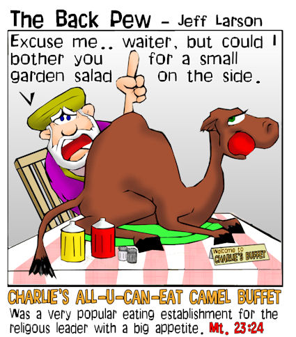 Swallow a Camel