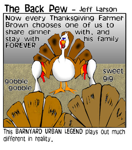 turkey urban legends