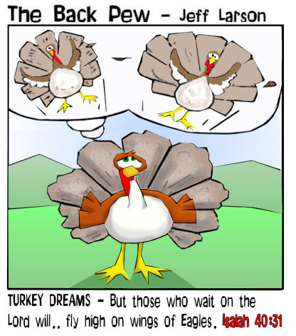 turkey dreams