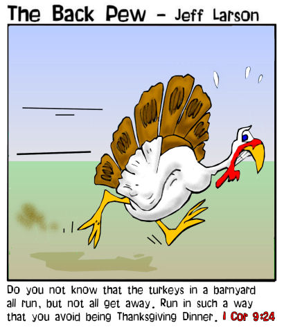 Turkey Run II
