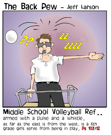 Volleyball Referee