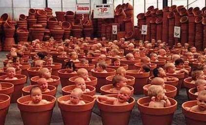 Baby Pots