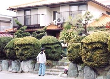 Funny Pictures of Kid Standing in Front of Bushes That Look Like Faces