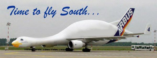 Funny Pictures of a Plane That Looks Like Goose